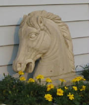 horse_head_in_front_of_lounge.jpg