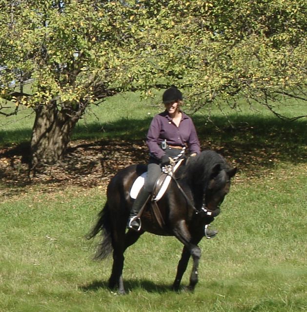 kristin_at_sewickely_hunter_pace_2006.jpg