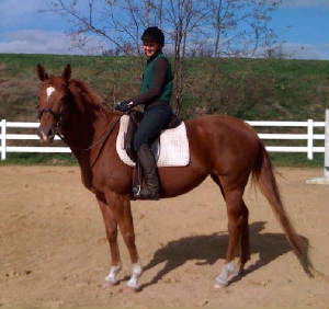 chestnut_mare.jpg