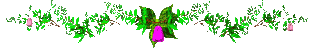 flower2_div_md_clr.gif